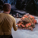 Image for article titled How to Create a Scientifically Plausible Alien Life Form